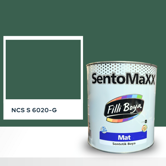Filli Boya Sentomaxx Boya NCS S 6020-G Filli Boya Sentomaxx Boya NCS S 6020-G