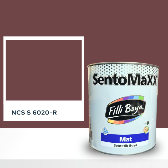 Filli Boya Sentomaxx Boya NCS S 6020-R