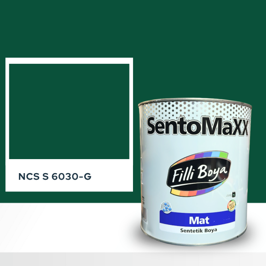 Filli Boya Sentomaxx Boya NCS S 6030-G Filli Boya Sentomaxx Boya NCS S 6030-G