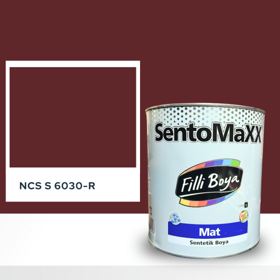 Filli Boya Sentomaxx Boya NCS S 6030-R Filli Boya Sentomaxx Boya NCS S 6030-R