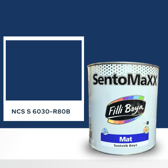 Filli Boya Sentomaxx Boya NCS S 6030-R80B Filli Boya Sentomaxx Boya NCS S 6030-R80B