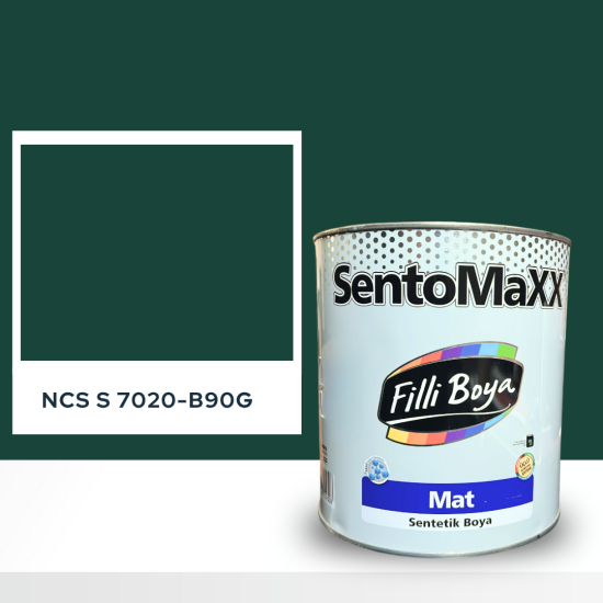Filli Boya Sentomaxx Boya NCS S 7020-B90G Filli Boya Sentomaxx Boya NCS S 7020-B90G