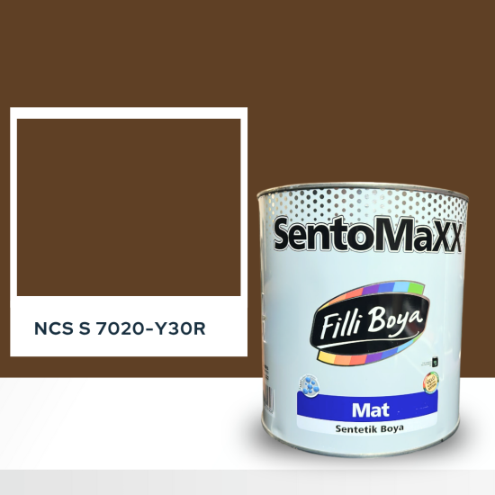Filli Boya Sentomaxx Boya NCS S 7020-Y30R Filli Boya Sentomaxx Boya NCS S 7020-Y30R