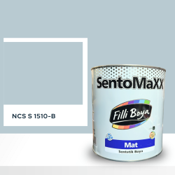 Filli Boya Sentomaxx Boya NCS S 1510-B
