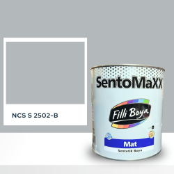 Filli Boya Sentomaxx Boya NCS S 2502-B