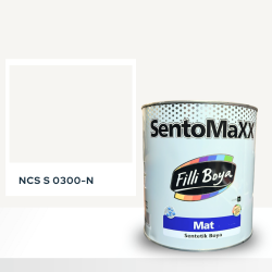 Filli Boya Sentomaxx Boya NCS S 0300-N