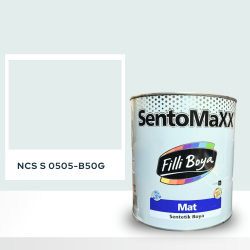 Filli Boya Sentomaxx Boya NCS S 0505-B50G