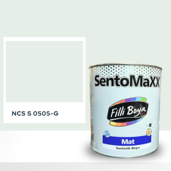 Filli Boya Sentomaxx Boya NCS S 0505-G