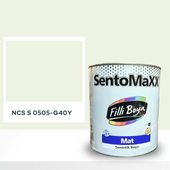 Filli Boya Sentomaxx Boya NCS S 0505-G40Y