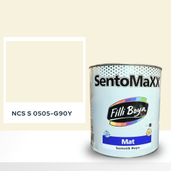 Filli Boya Sentomaxx Boya NCS S 0505-G90Y