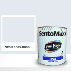 Filli Boya Sentomaxx Boya NCS S 0505-R80B