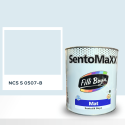 Filli Boya Sentomaxx Boya NCS S 0507-B