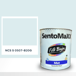 Filli Boya Sentomaxx Boya NCS S 0507-B20G