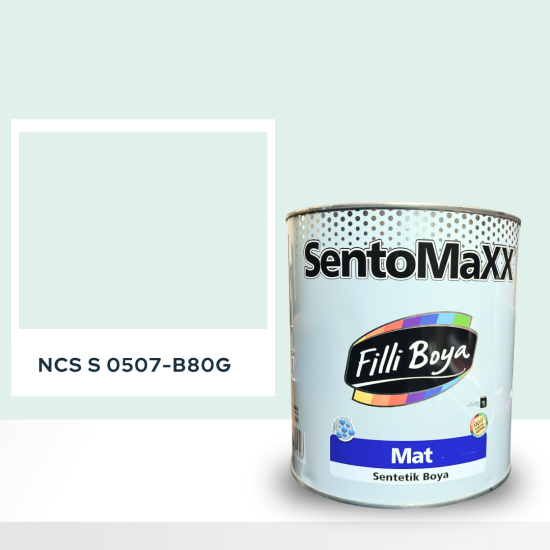 Filli Boya Sentomaxx Boya NCS S 0507-B80G