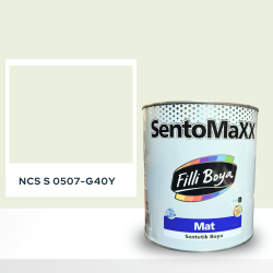 Filli Boya Sentomaxx Boya NCS S 0507-G40Y