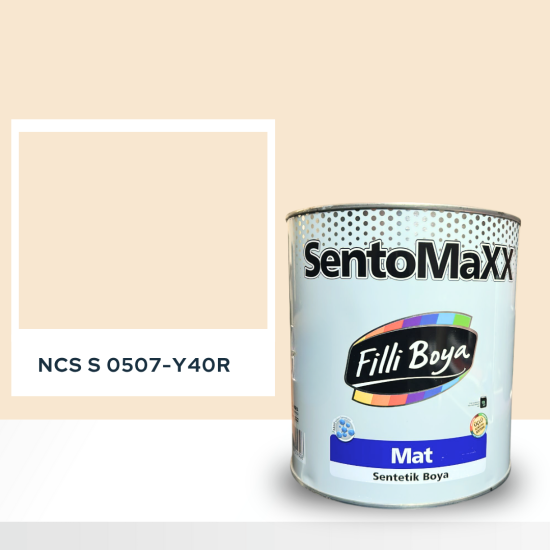 Filli Boya Sentomaxx Boya NCS S 0507-Y40R