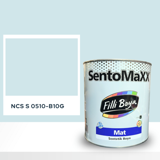 Filli Boya Sentomaxx Boya NCS S 0510-B10G