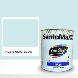 Filli Boya Sentomaxx Boya NCS S 0510-B30G