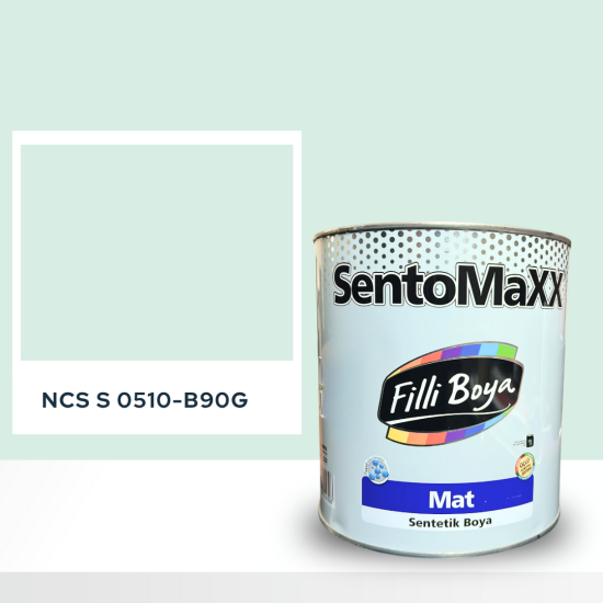 Filli Boya Sentomaxx Boya NCS S 0510-B90G