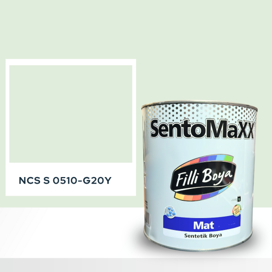 Filli Boya Sentomaxx Boya NCS S 0510-G20Y