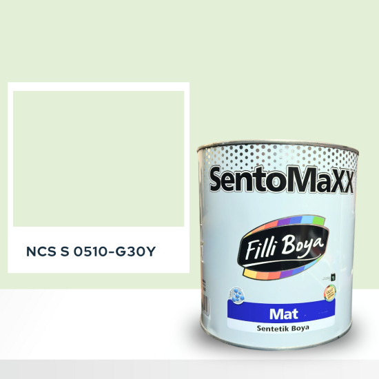 Filli Boya Sentomaxx Boya NCS S 0510-G30Y