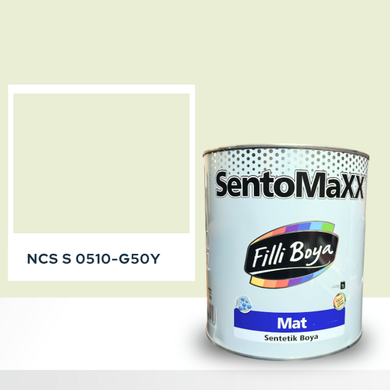 Filli Boya Sentomaxx Boya NCS S 0510-G50Y