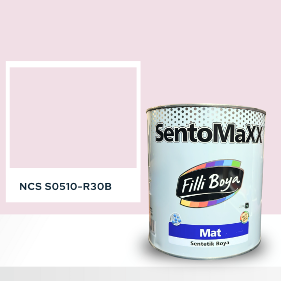 Filli Boya Sentomaxx Boya NCS S 0510-R30B