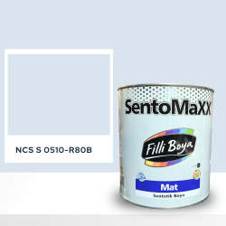 Filli Boya Sentomaxx Boya NCS S 0510-R80B