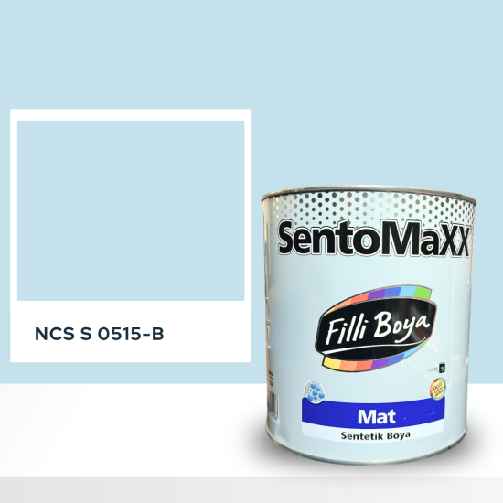 Filli Boya Sentomaxx Boya NCS S 0515-B
