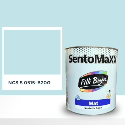 Filli Boya Sentomaxx Boya NCS S 0515-B20G