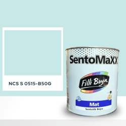 Filli Boya Sentomaxx Boya NCS S 0515-B50G