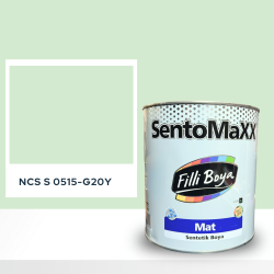Filli Boya Sentomaxx Boya NCS S 0515-G20Y