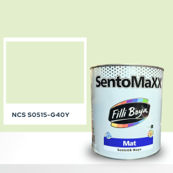 Filli Boya Sentomaxx Boya NCS S 0515-G40Y