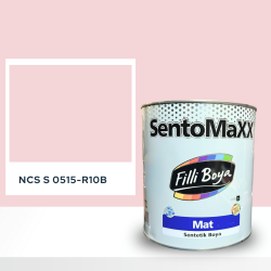Filli Boya Sentomaxx Boya NCS S 0515-R10B
