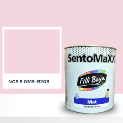 Filli Boya Sentomaxx Boya NCS S 0515-R20B