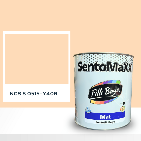 Filli Boya Sentomaxx Boya NCS S 0515-Y40R