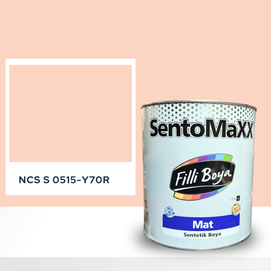 Filli Boya Sentomaxx Boya NCS S 0515-Y70R
