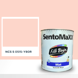 Filli Boya Sentomaxx Boya NCS S 0515-Y80R