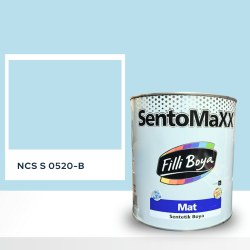 Filli Boya Sentomaxx Boya NCS S 0520-B