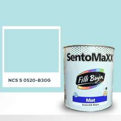 Filli Boya Sentomaxx Boya NCS S 0520-B30G