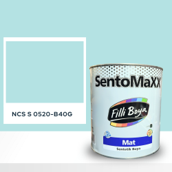 Filli Boya Sentomaxx Boya NCS S 0520-B40G