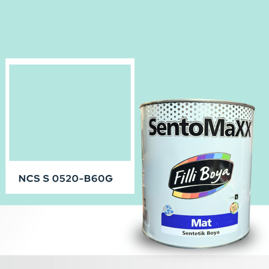 Filli Boya Sentomaxx Boya NCS S 0520-B60G Filli Boya Sentomaxx Boya NCS S 0520-B60G