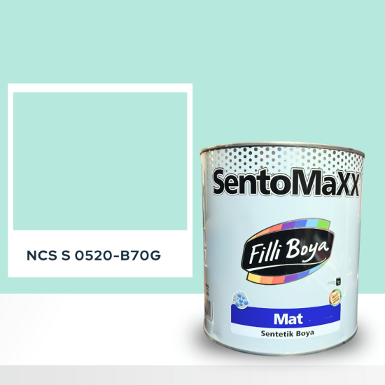 Filli Boya Sentomaxx Boya NCS S 0520-B70G