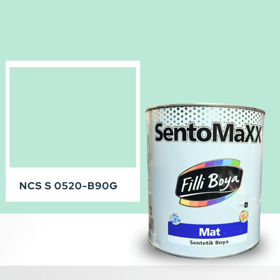 Filli Boya Sentomaxx Boya NCS S 0520-B90G