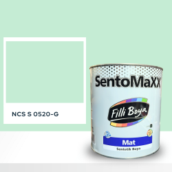 Filli Boya Sentomaxx Boya NCS S 0520-G