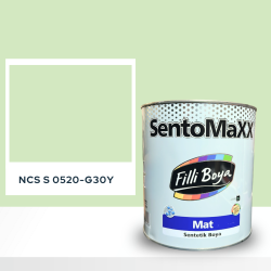 Filli Boya Sentomaxx Boya NCS S 0520-G30Y