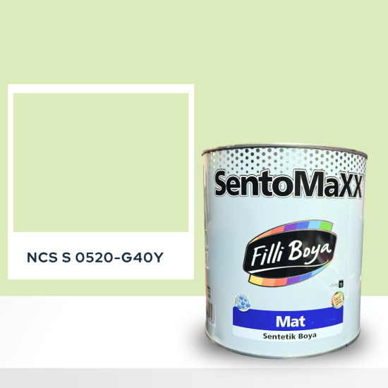 Filli Boya Sentomaxx Boya NCS S 0520-G40Y