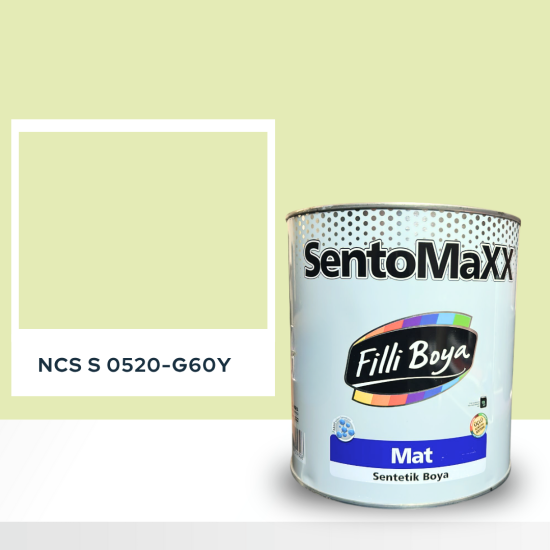 Filli Boya Sentomaxx Boya NCS S 0520-G60Y