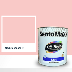 Filli Boya Sentomaxx Boya NCS S 0520-R