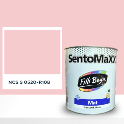 Filli Boya Sentomaxx Boya NCS S 0520-R10B